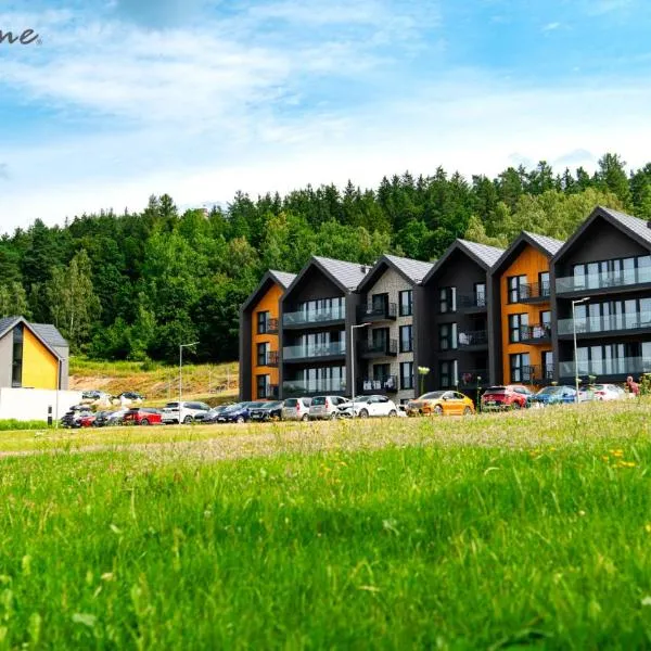 Wonder Hill - bajkowy widok na góry i zalew, hotel en Sosnówka