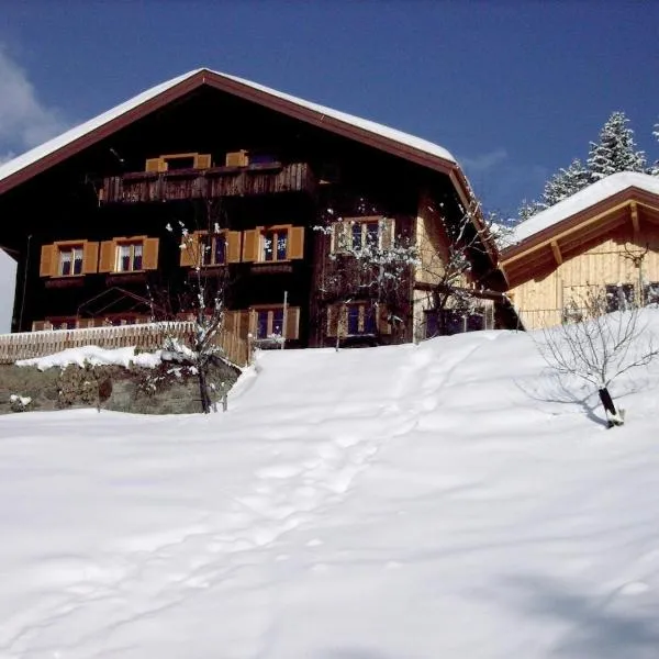 Chalet in Schruns near Montafon Ski Lift, hotel in Schruns-Tschagguns