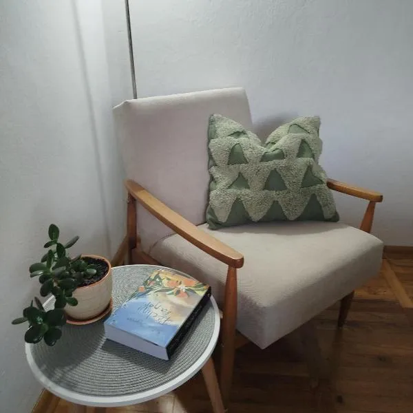 Fina Apartman, hotel in Leskovac