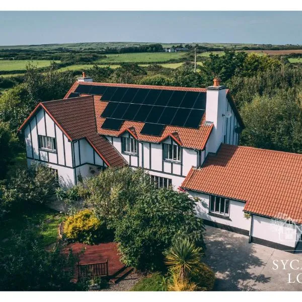 Sycamore Lodge, hotel a Kilkee