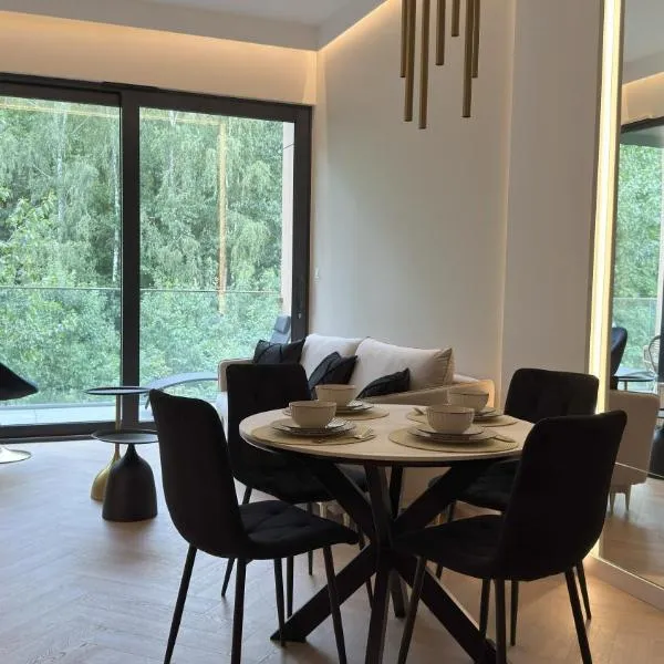Omega Lake Apartments New, hotel in Olsztyn