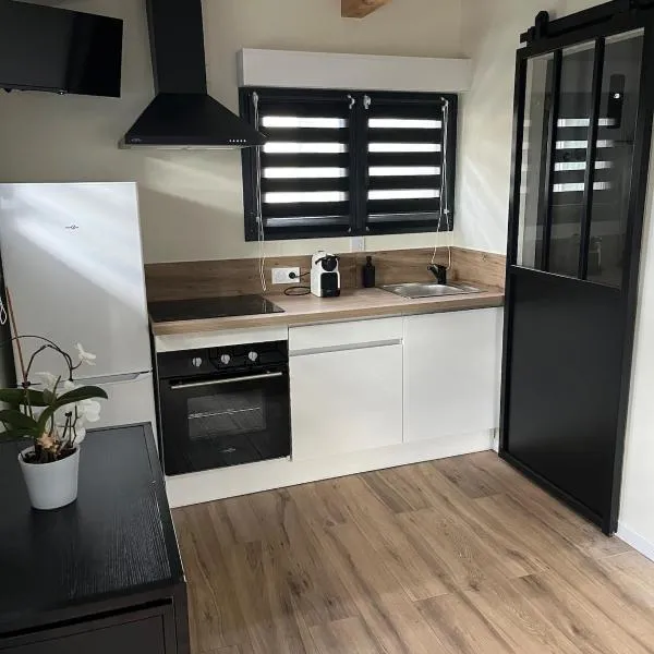 Chez Annick, studio proche tram, Groupama Stadium, LDLC Arena, готель у місті Десін-Шарп'є