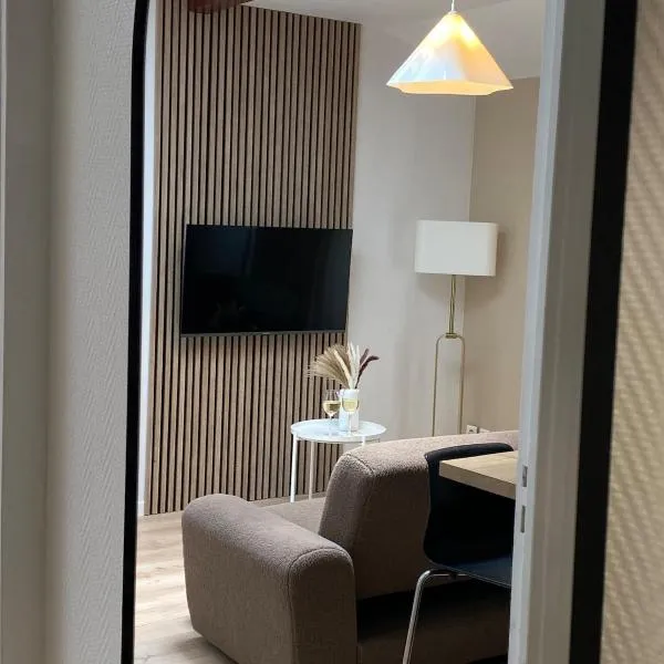 Apartment T2, hotel in Le Puy en Velay