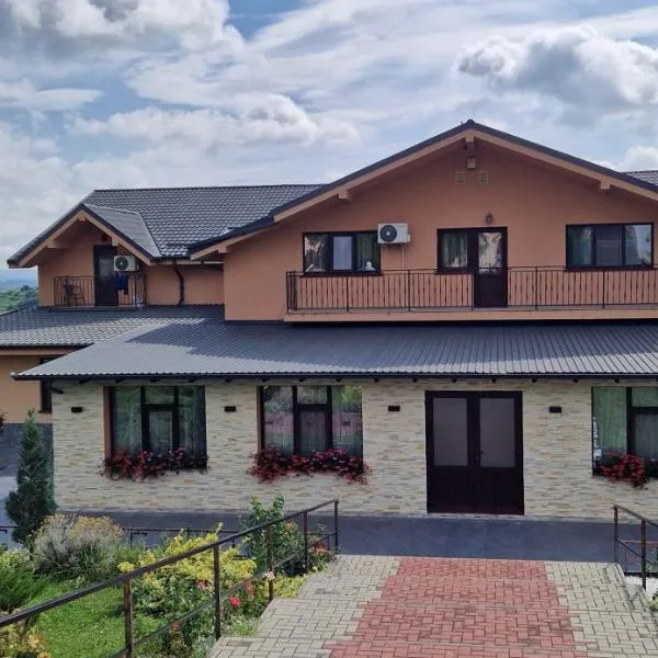 Casa Galu, hotel in Nicoreşti
