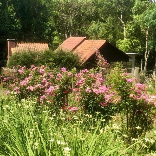 Chalé com Vista para Vinhedo e Natureza