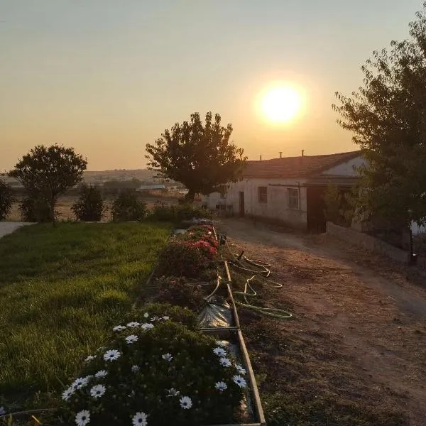 La Granja de Juli, hotel in Ledesma