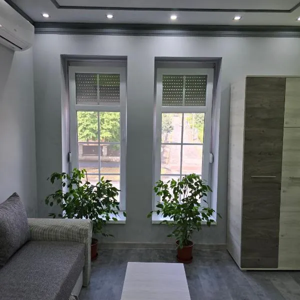 White House Apartman Miskolc, Green Room, hotel in Miskolc