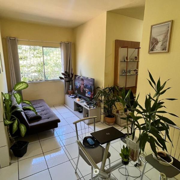 Apartment for rent for COP30