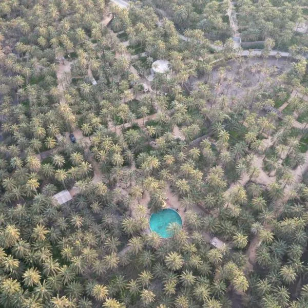 Coco Oasis Resort Camping Maison d hotes, ξενοδοχείο στο Τοζέρ