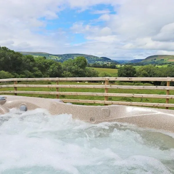 Bryn Villa, hotel in Newbridge on Wye