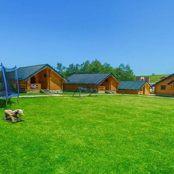 Vidikovac Uvac, hotel v destinaci Družiniće