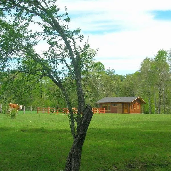 Cabañas Valle del Río, hotel in Los Raulíes