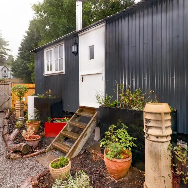 Kings Cwtch Shepherd's Hut, hotel in Cardiff