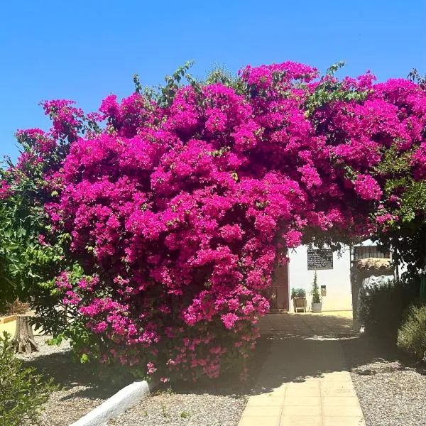 Lavender Lodge Almeria, hotel in Arboleas
