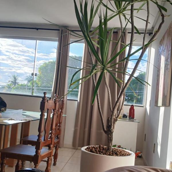 Hospedaria Em Lagoa - Apto 103 - Residencial Cota - Foto 3