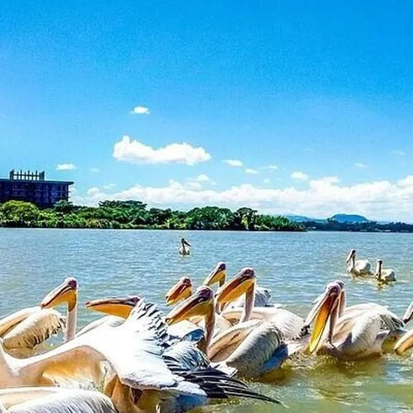 Yiganda Hotel, Bahir Dar, hotel in Dirē Kʼalu