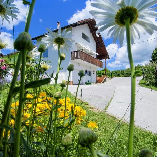 Viesnīca Apartment Bastaja pilsētā Slunja