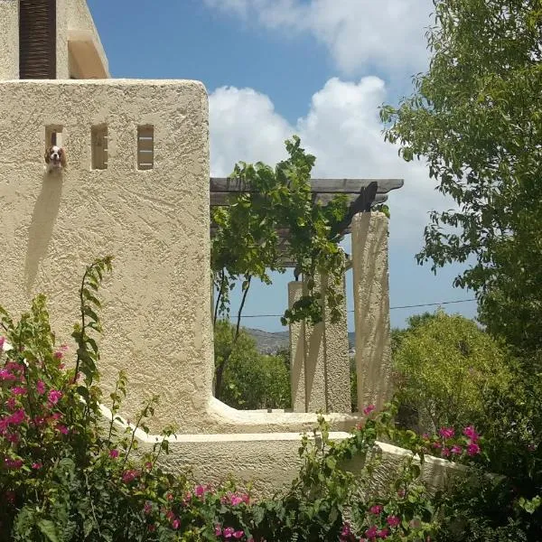 Ζini 2, hotel v mestu Kefalos