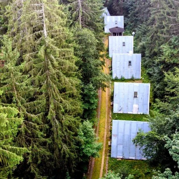 Hütte Tannengrün - Ruheort mitten im Wald, hotel v destinácii Eibenstock