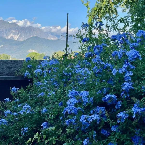 plumbago blue, hotel in Ameglia