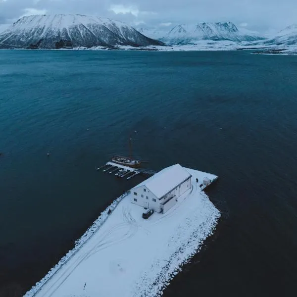 Arctic Ocean Lodge，位于Skjolde的酒店
