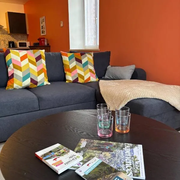 La Vue des Vignes - Parking privé Auto Moto Vélo - Netflix, Hotel in Guebwiller