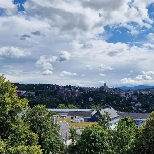 Stadtblick Annaberg Große Fewo Peter für 5 Personen mit Balkon 5OG modern und gemütlich, отель в городе Аннаберг-Буххольц