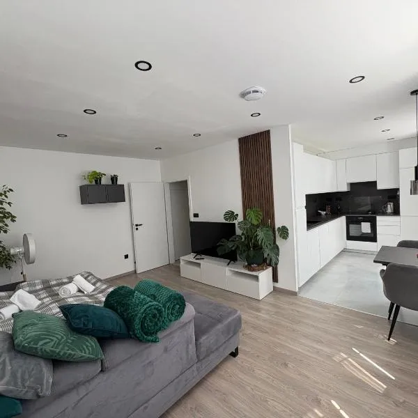 Apartmán Pod Hvězdami, hotel in Přímětice