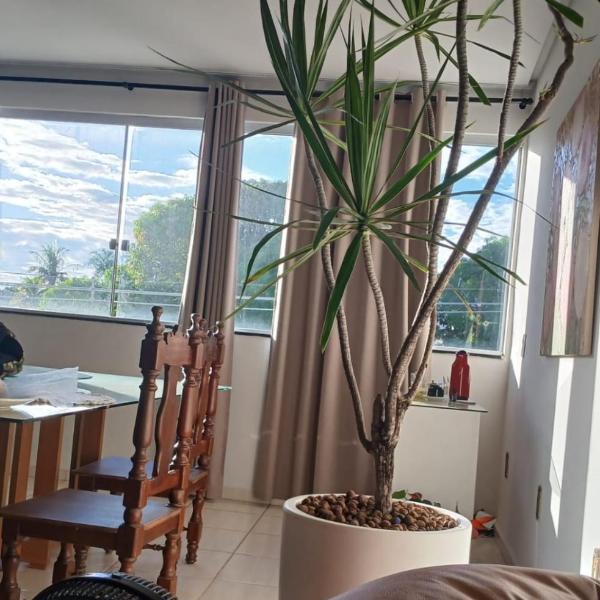 Hospedaria em Lagoa - Residencial Cota - Quartos - Foto 4