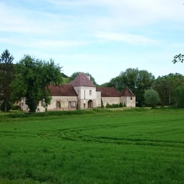 Chateau Des Roises, hotel v destinaci Bucey-en-Othe