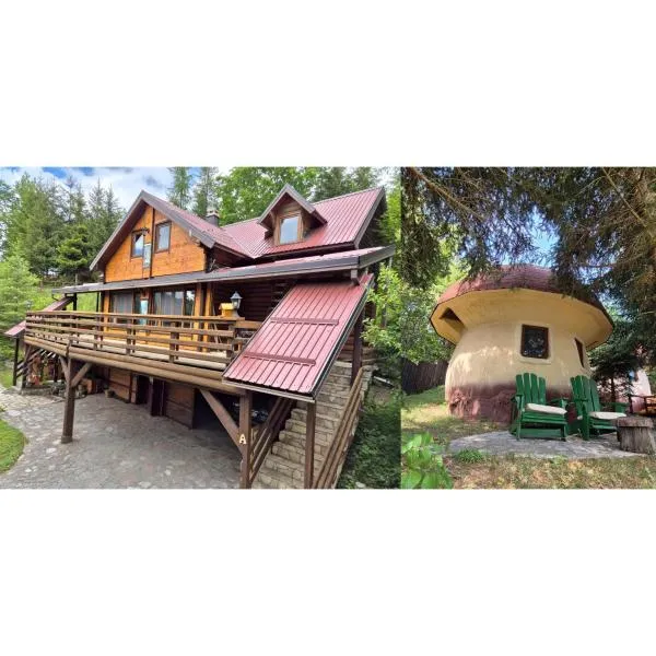 Art Apartments Minic, hotel v destinaci Kolašin