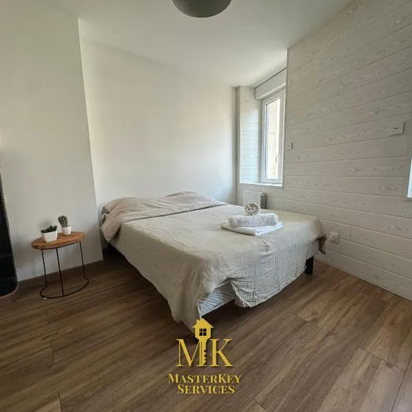 Studio Cosy Gare et centre Nancy, hotel in Nancy