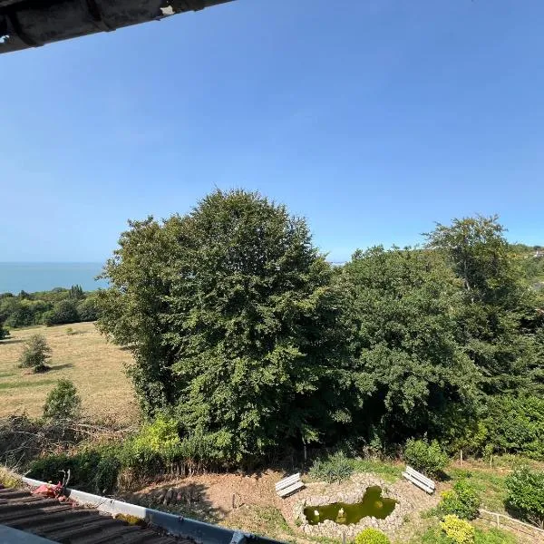 Spacieux appartement jardin, BBQ, vue sur mer, Trouville, hotel in Trouville-sur-Mer
