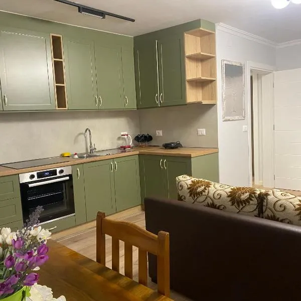 Elia Apartment 2, hotel v destinaci Tirana