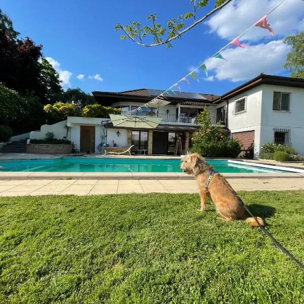 Alps and Lakeview Villa with Pool: Haut-Vully şehrinde bir otel