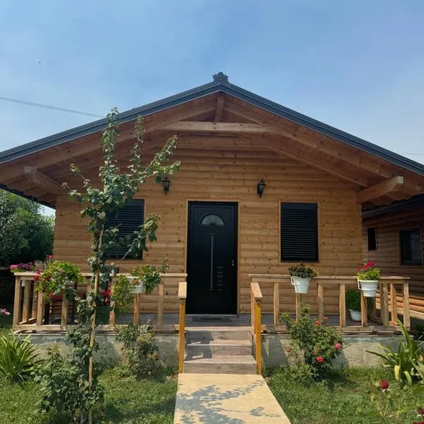 Guest House Dimal Berat, hotel in Pashalli