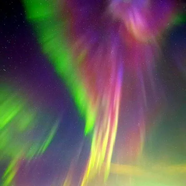 Artic Dream, hotel in Gratangen