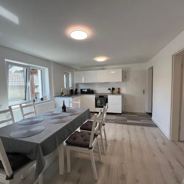Black Forest Gate Apartment, hotel in Schellbronn