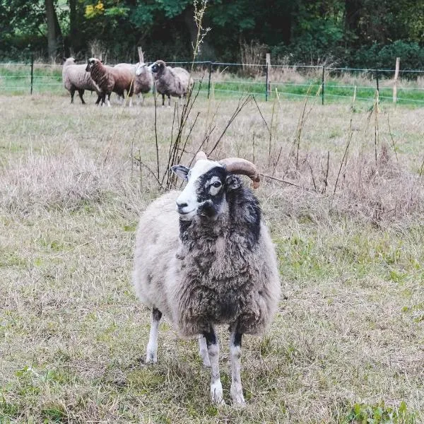 Ferienhof Elmenhorst, Hotel in Elmenhorst