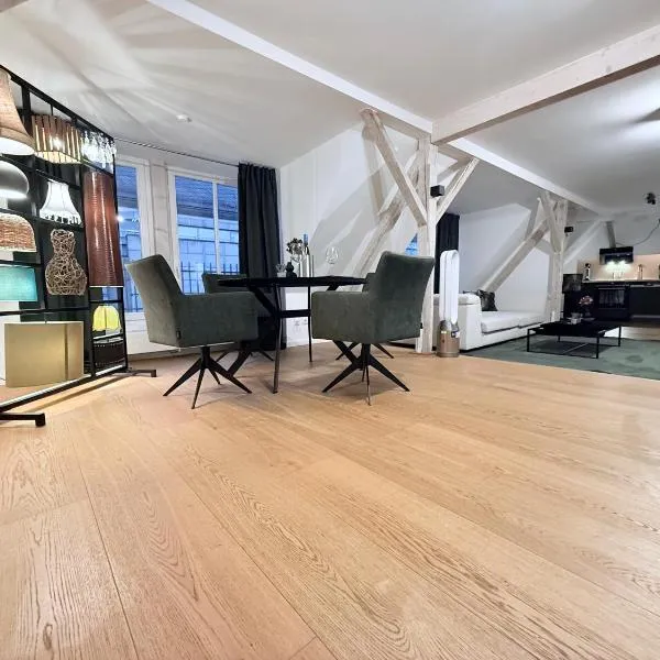 designAparts - I - Penthouse mit Dachterrasse, hotel in Bayreuth