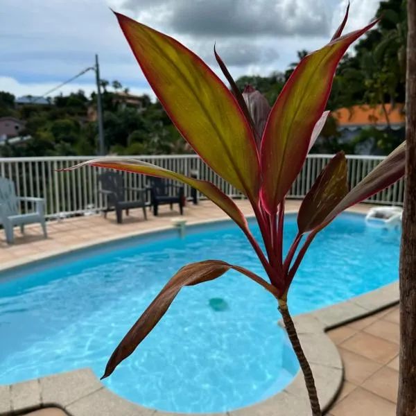 Bas de villa spacieux, proche plages et centre, hotel a Schœlcher