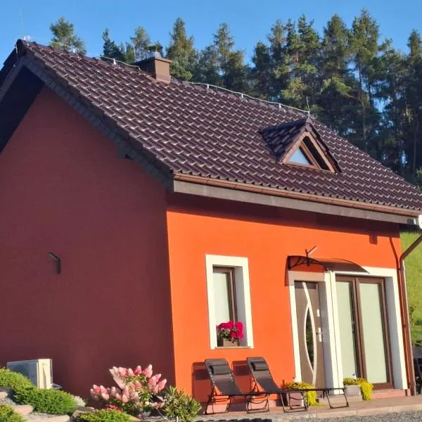 Agroturystyka u Janosika 1, hotel in Bozkow