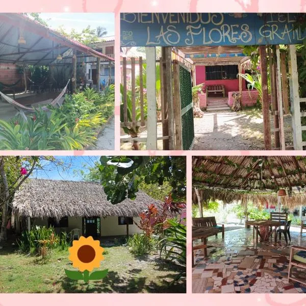 ECOHOTEL LAS FLORES Econativo, hotel in Isla Grande