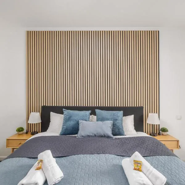 Kalina Suites - Apartment am Rhein, Nähe BASF, AbbVie, Uni MA, hotel em Ludwigshafen am Rhein