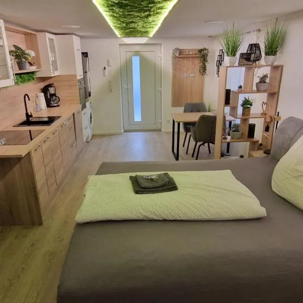 Appartment-Ferienwohnung mit Küche, Bad, WLAN, Klimaanlage, Modern eingerichtet, hotel v destinaci Roding