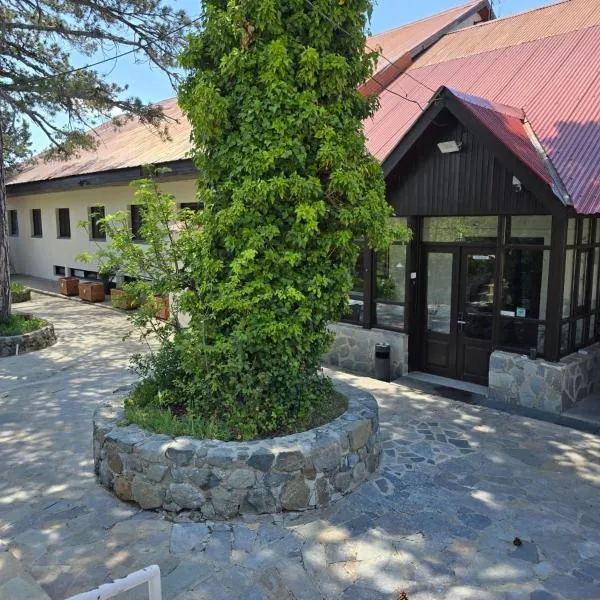 Jubilee Hotel Troodos, hotel a Troodos