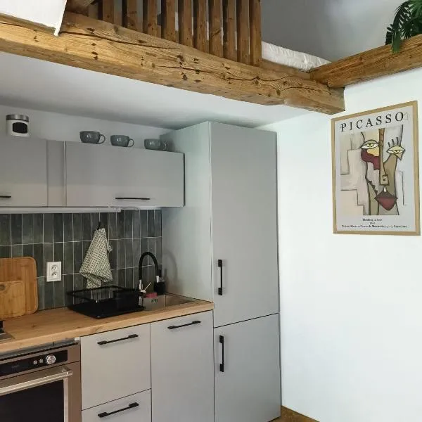 Studio z widokiem na park, hotel in Srebrna Góra