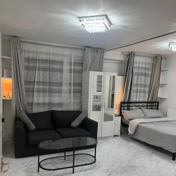 Studio Apartment SW2, hotel in London