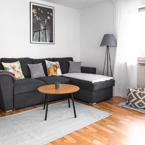 Ferienwohnung Panoramablick - super für deine Familie und die besten Aussicht in ganz Todtmoos, Hotel in Todtmoos