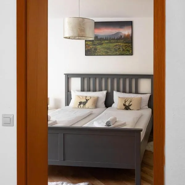 Ferienwohnung Panoramablick - super für deine Familie und die besten Aussicht in ganz Todtmoos, hotel in Todtmoos